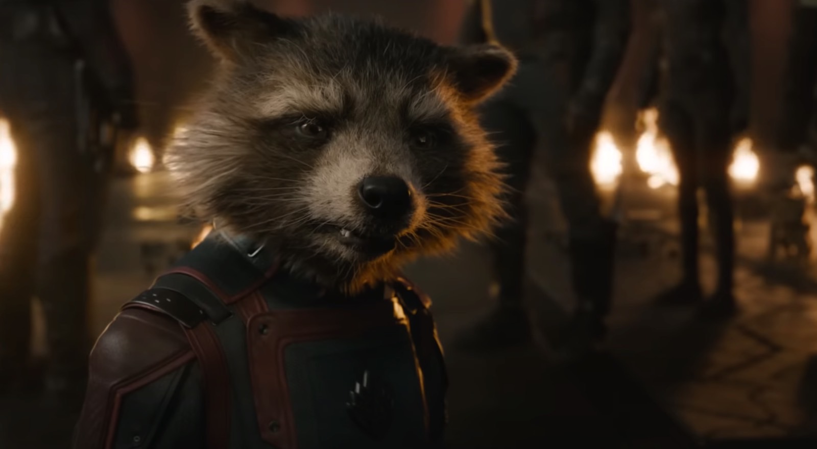 Rocket (Bradley Cooper) in Guardians of the Galaxy Vol. 3 trailer 1.