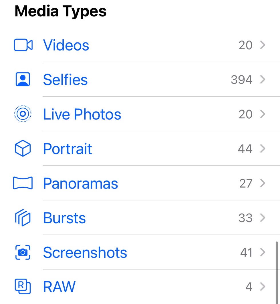 The Media Types section in the Photos' Album menu can help you free up iPhone storage with ease.