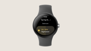 Google Home app on Pixel Watch