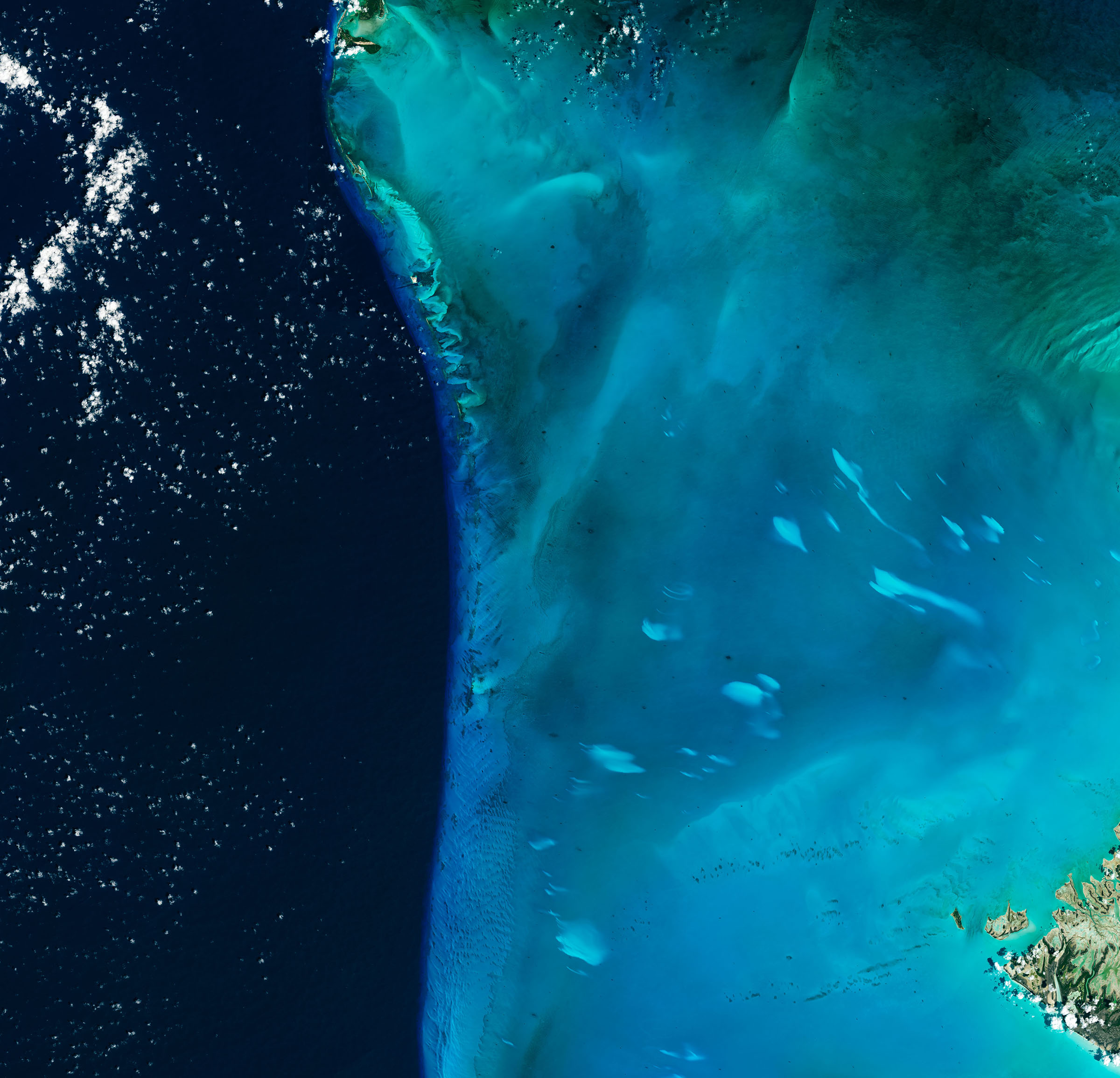 whiting event in bahamas