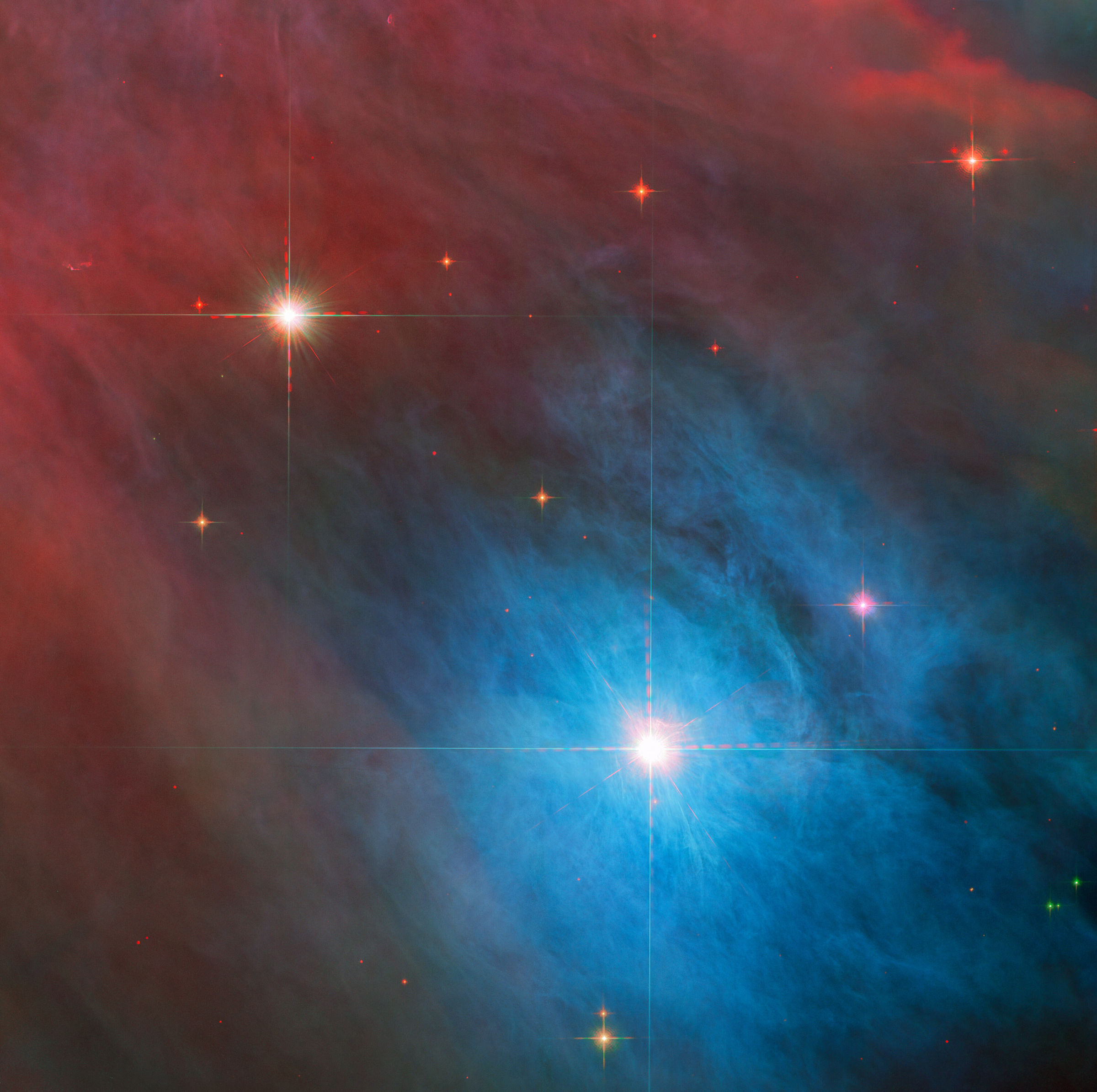 hubble spots young stars in orion nebula