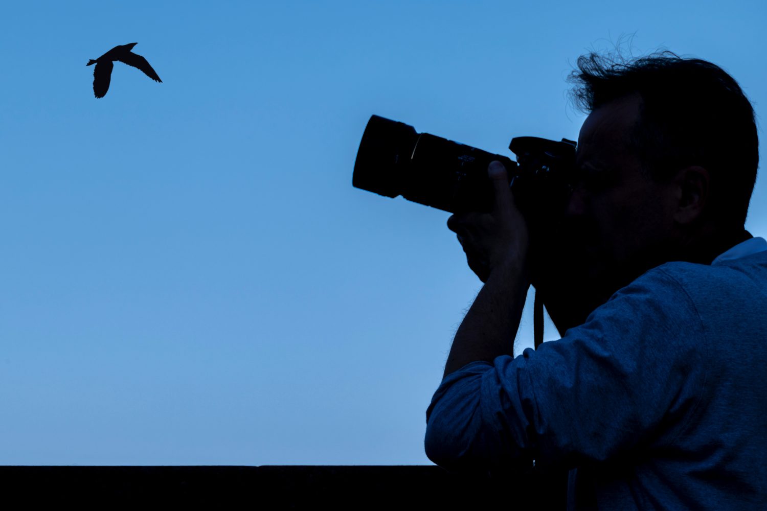Watch this musician turn a bird’s song into a stunning AI-composed melody