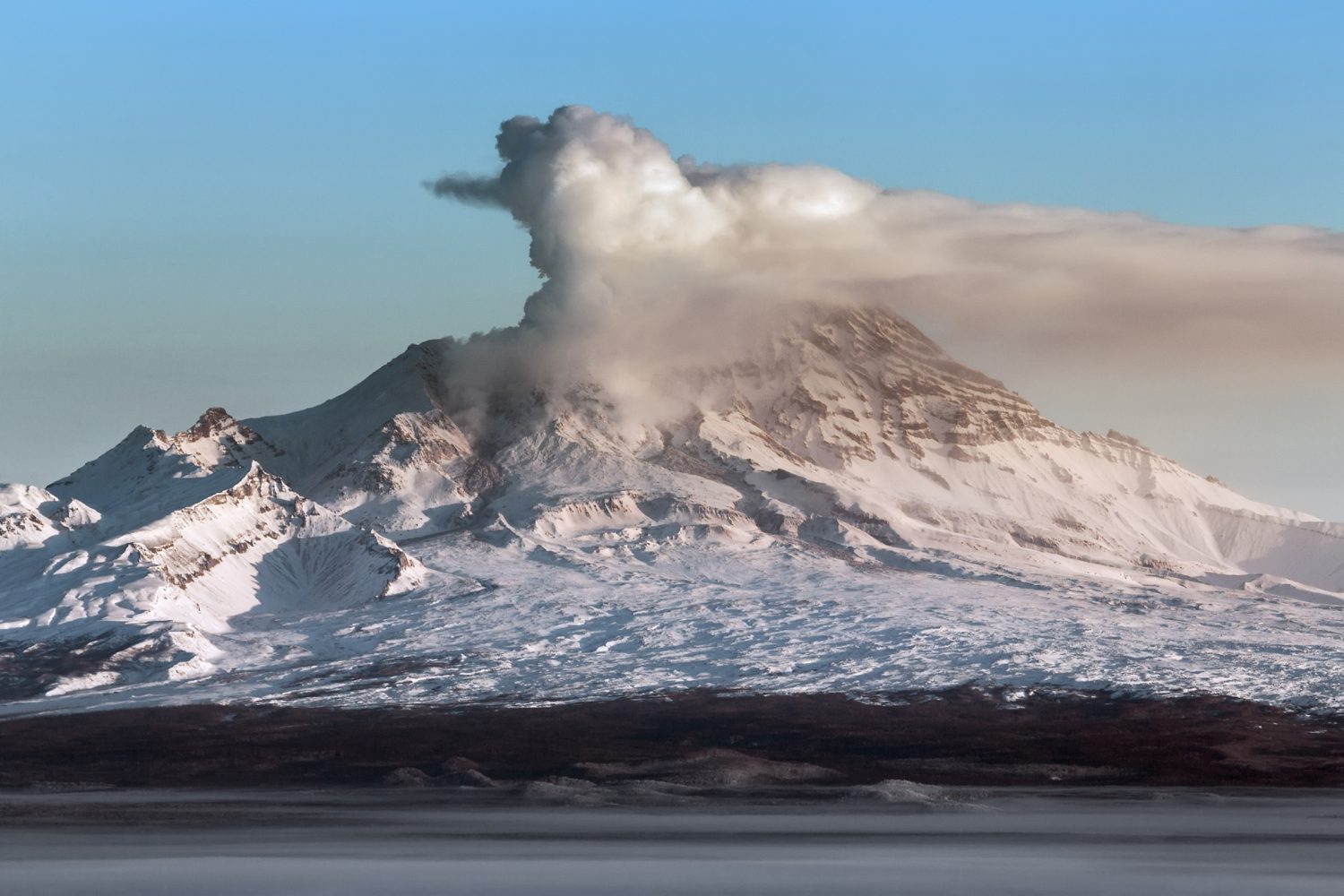 Tropical trees could warn us about impending volcanic eruptions