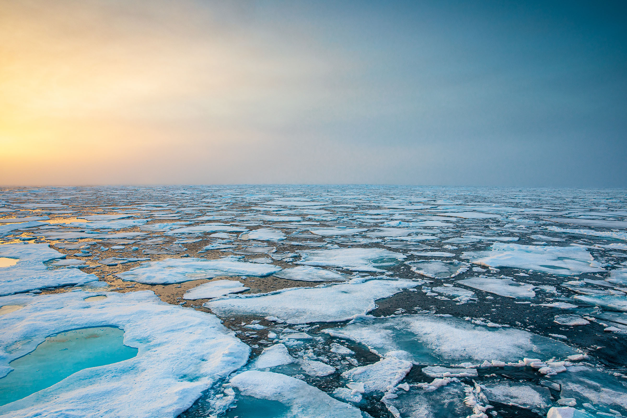 Северный Ледовитый океан паковый лед. Северный Ледовитый океан летом. Арктический океан. Озера бассейна Северного Ледовитого океана. Ветра ледовитого океана