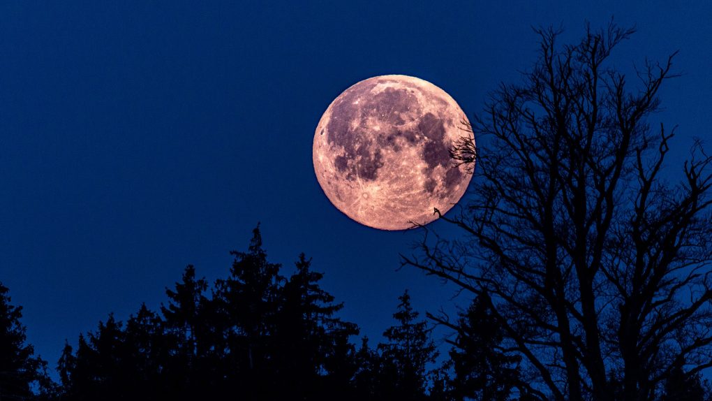 Watch the full 'Pink Moon' rise into the sky on April 6