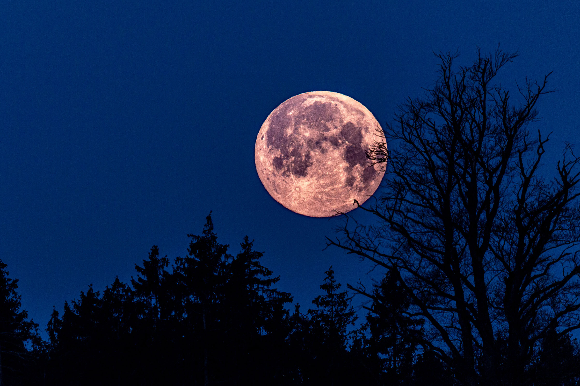 blue moon in night sky