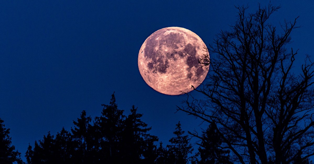 April's pink full moon will shine bright tonight - here's how to see it
