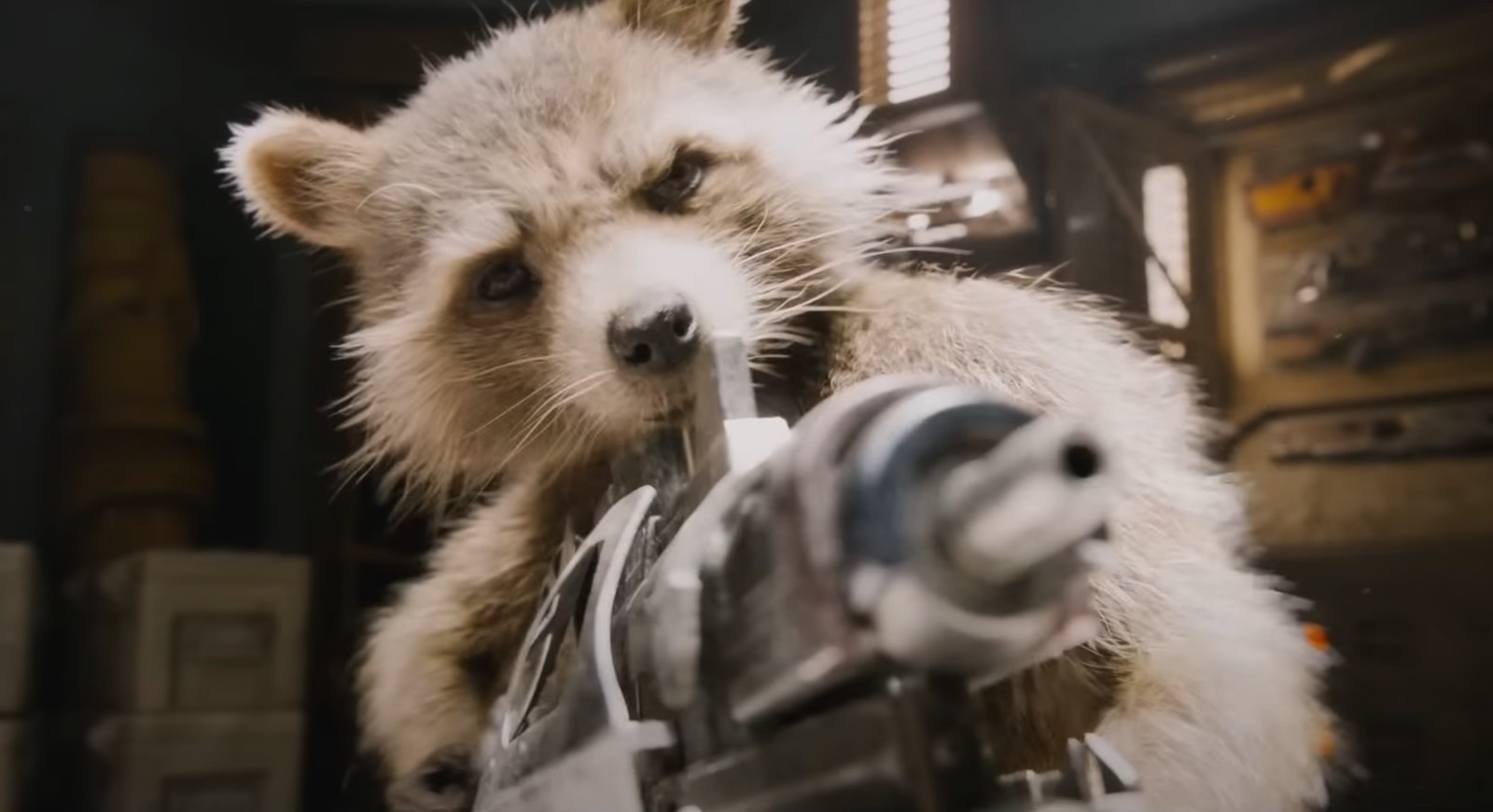 Rocket (Bradley Cooper) in Guardians of the Galaxy Vol. 3 Relax TV ad.