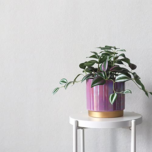 budgetfriendly backyard finds 35 ways to add some fun to a boring outdoor space