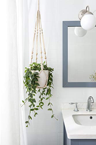 the best bang for your buck affordable products that deliver impressive results