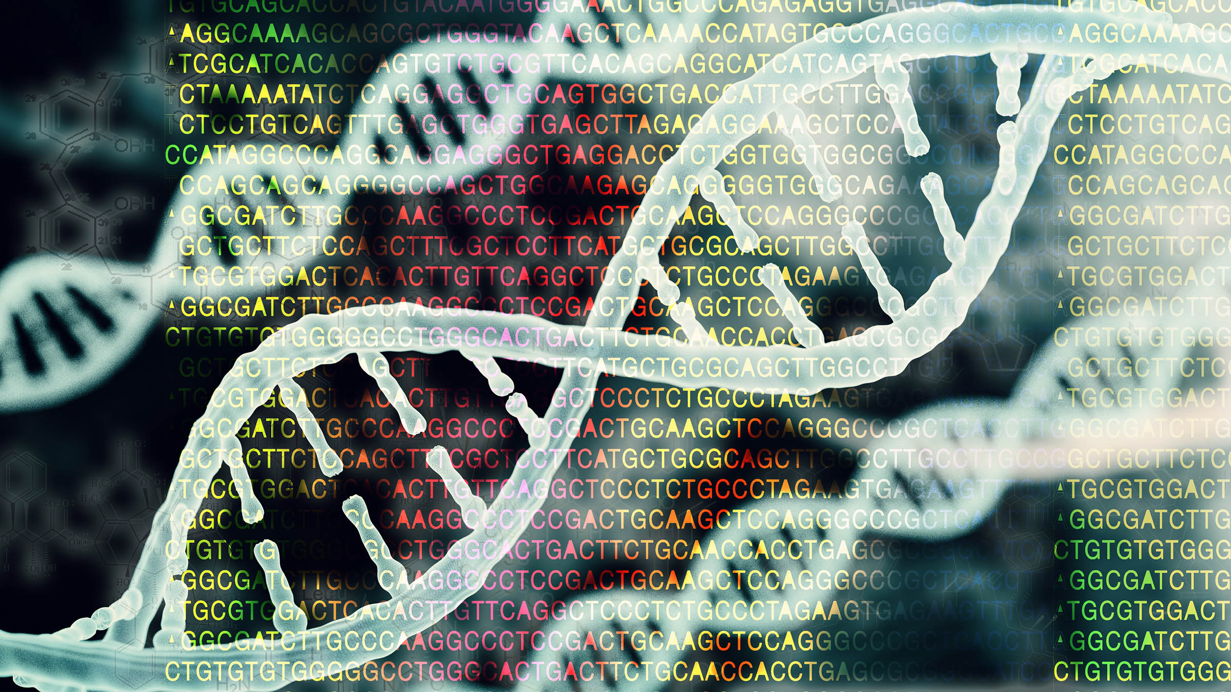 human genome dna concept