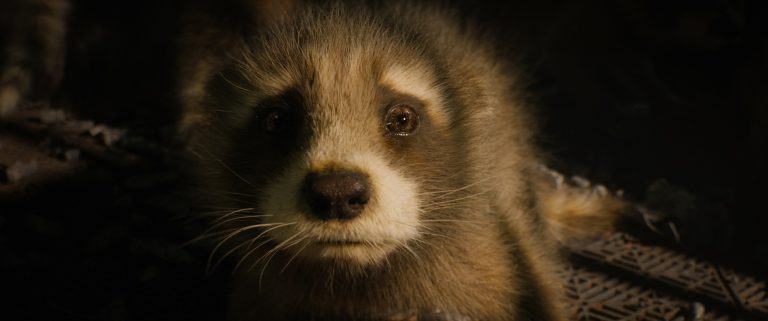 Baby Rocket (voiced by Bradley Cooper) in Marvel Studios' Guardians of the Galaxy Vol. 3.