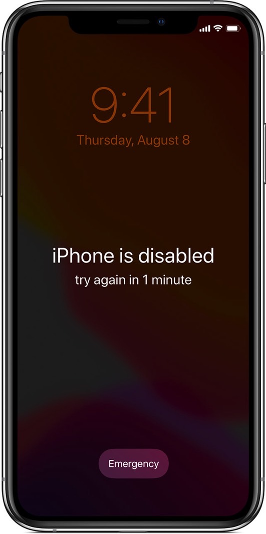 iPhone is disabled after entering a number of wrong PIN/passwords.