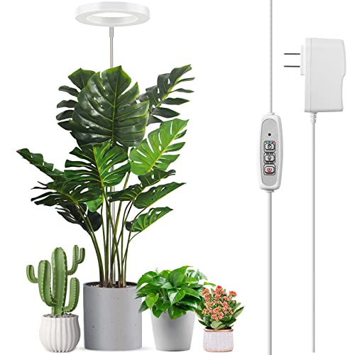 40 musthave amazon items that should have been in your possession by now