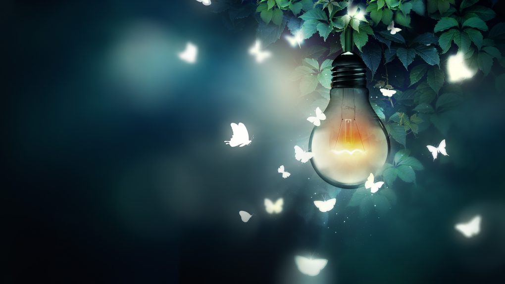 luminous bulb and butterflies flying on light
