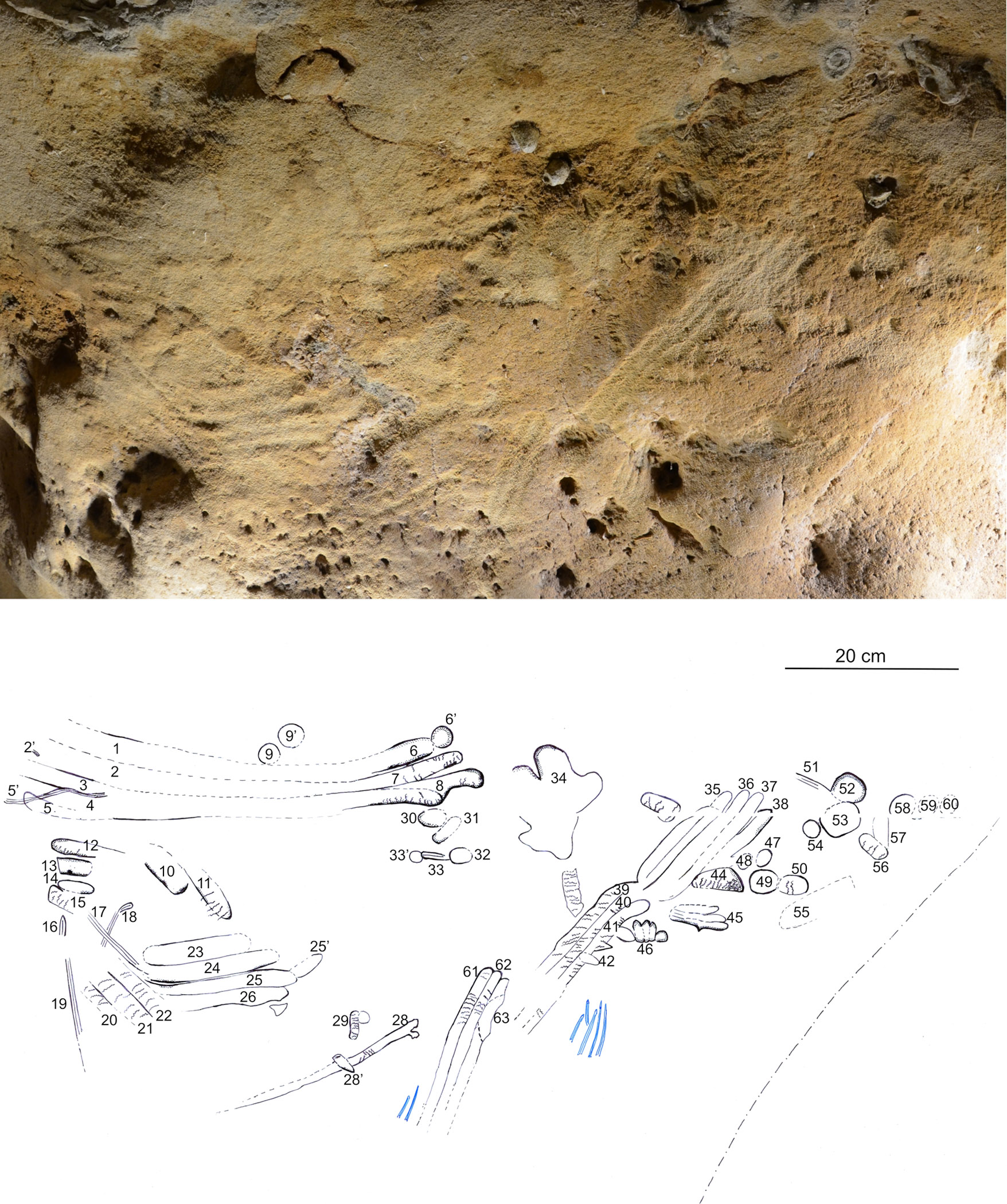 neanderthal art on cave wall