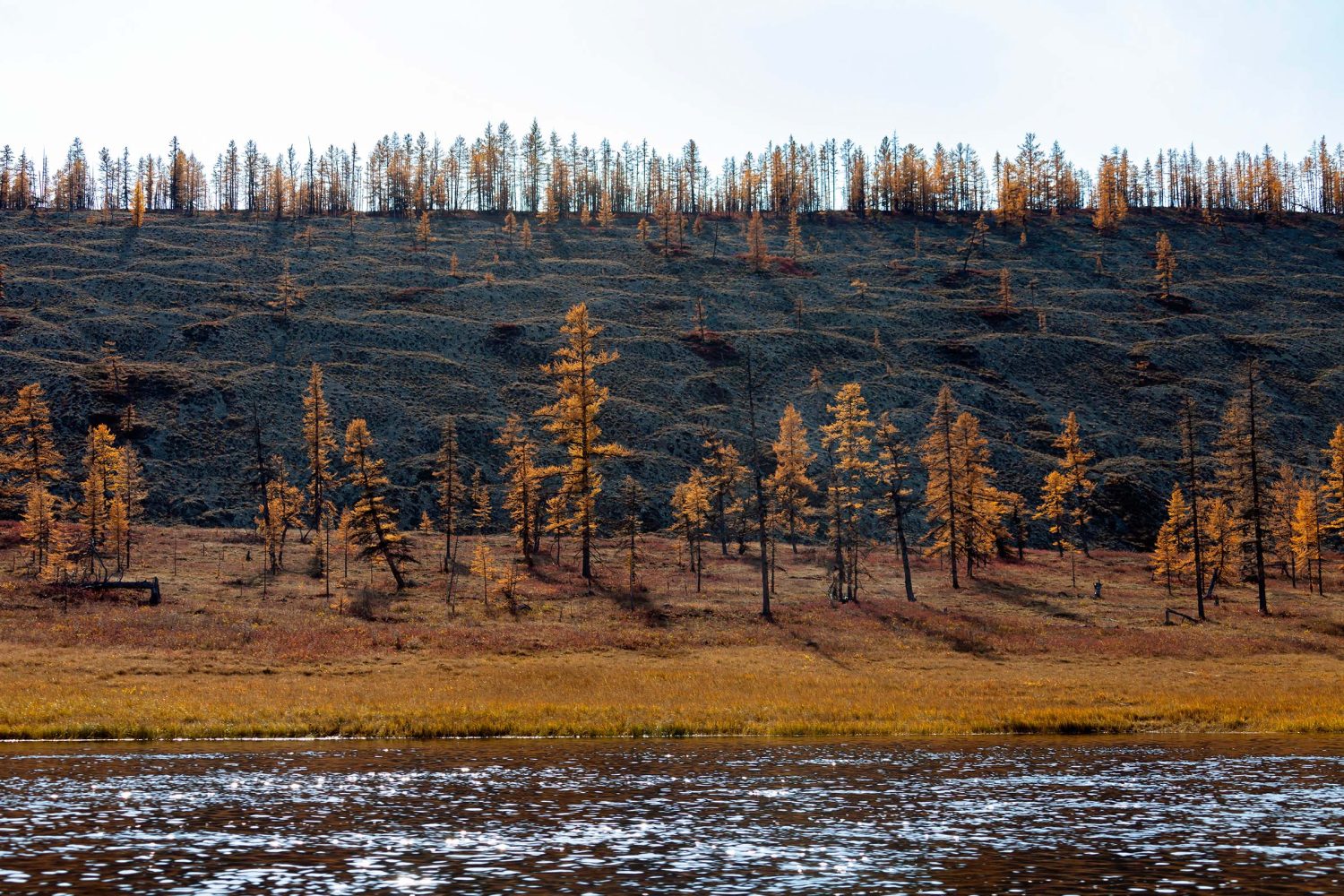 Shocking changes were uncovered when scientists mapped Earth’s rivers over 35 years