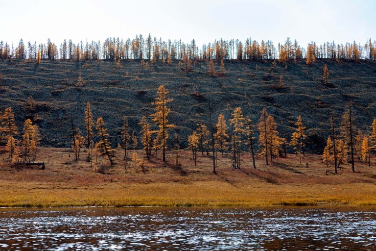 coast of taiga river, siberian permafrost