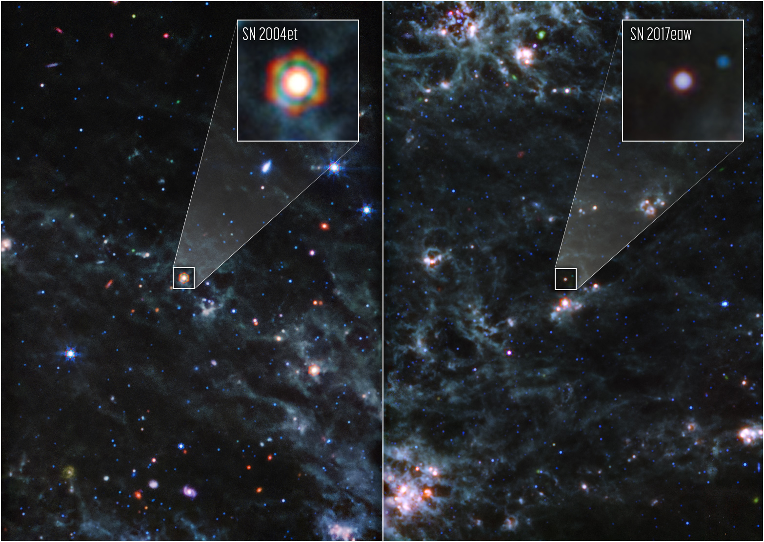 webb observations of supernovas