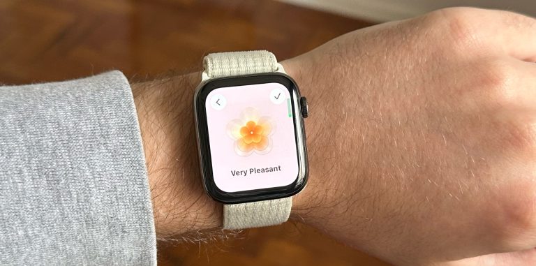 watchOS 10 log State of Mind