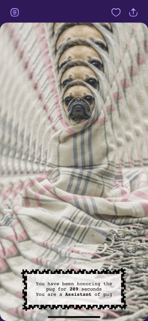 I'm the assistant of this pug thanks to Web Roulette.