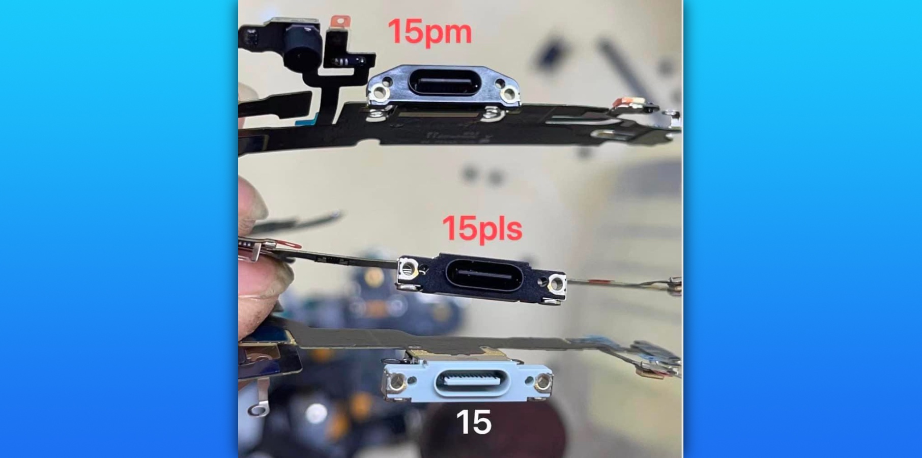 Photo shows purported USB-C ports for three iPhone 15 models.