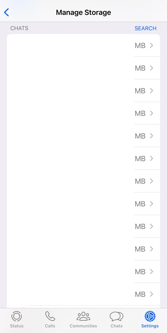 WhatsApp's Manage Storage settings menu shows you the files that are taking up space.