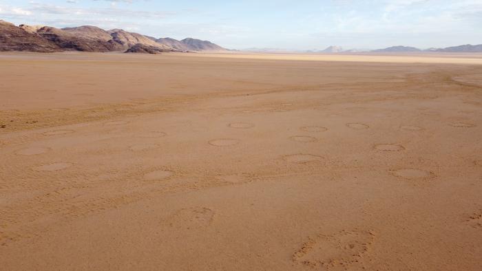 The marvellous mystery of the fairy circles