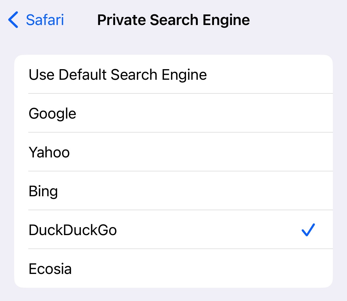 The online search engines Safari supports in iOS 17.