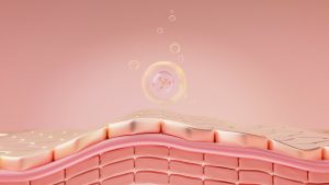 bioprinted skin, skin illustration