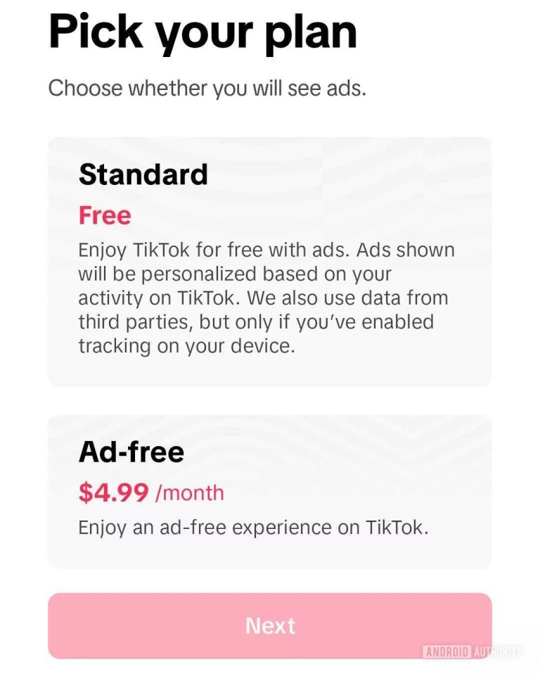 TikTok ad-free subscription plan