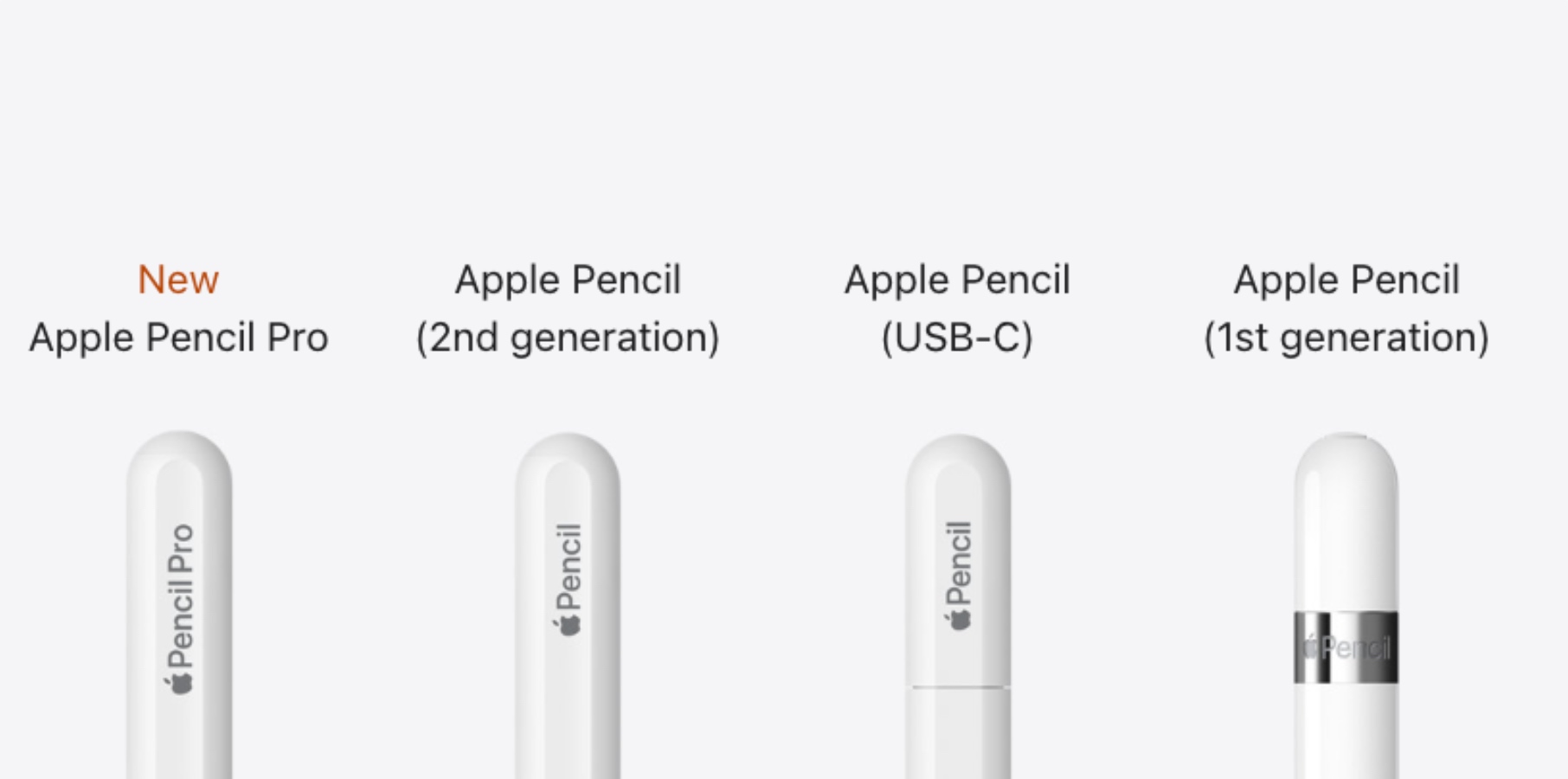 Apple pencil WEB限定カラー - iPadアクセサリー