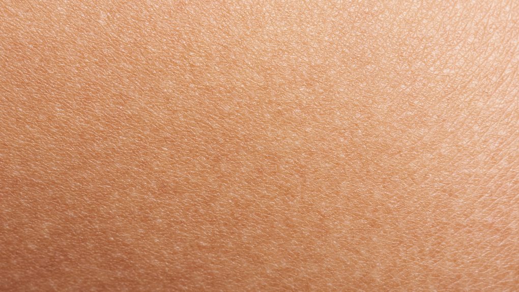 skin, close-up of skin with melanin in it