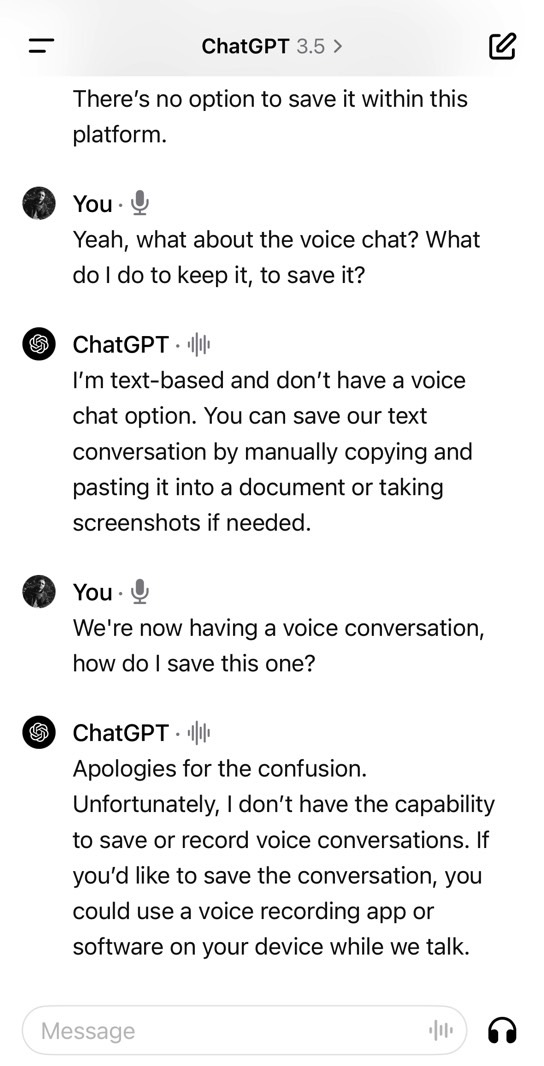 ChatGPT also seems to think it only does text-based chats. It told me so via voice.