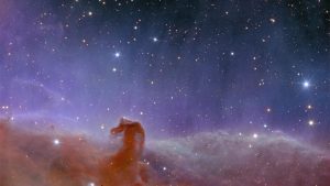 Euclid first images Euclid first images - horsehead nebula