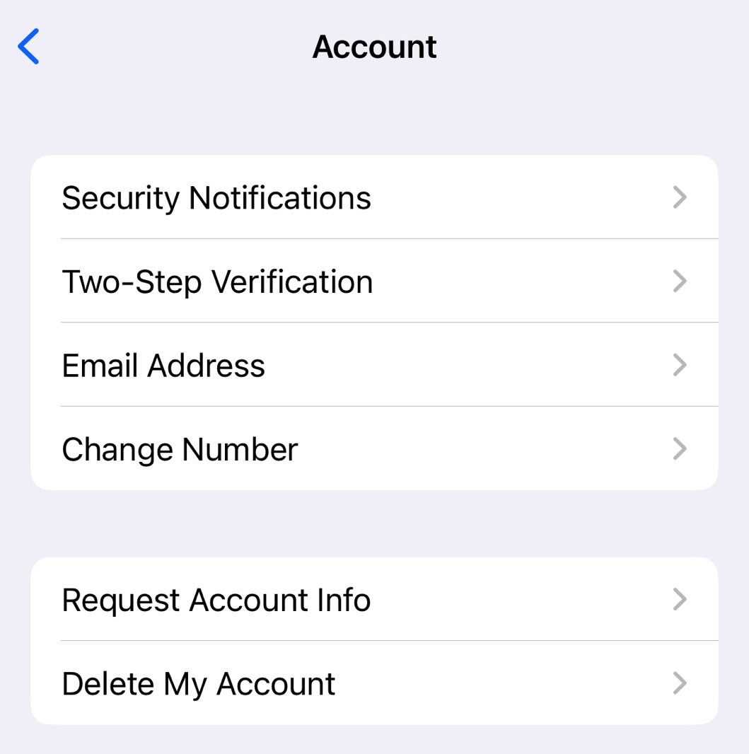 Email verification support is available on WhatsApp for iPhone.