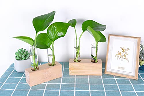 bougie bargains 35 luxurious gifts under 35 on amazon