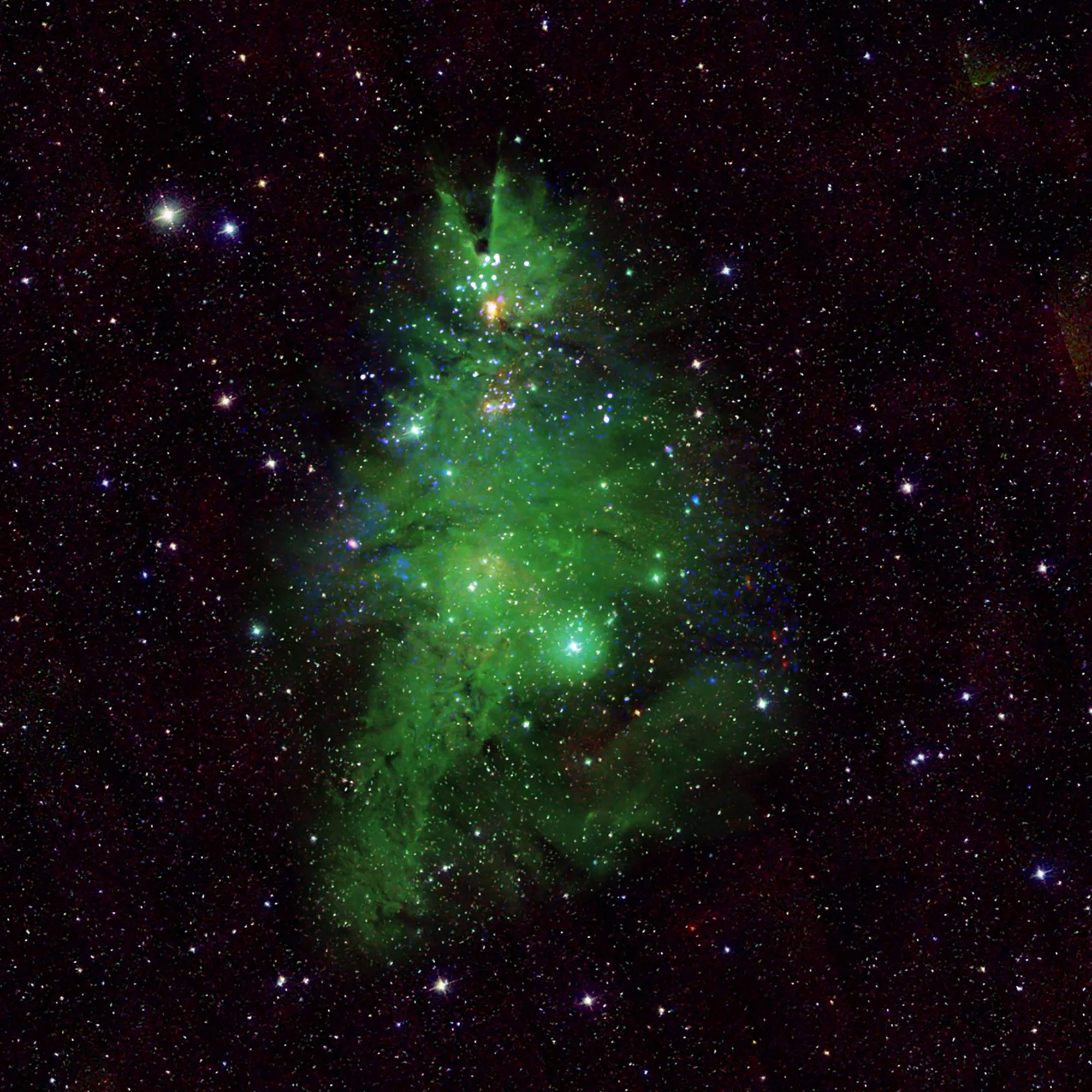 christmas tree cluster as captured by Chandra