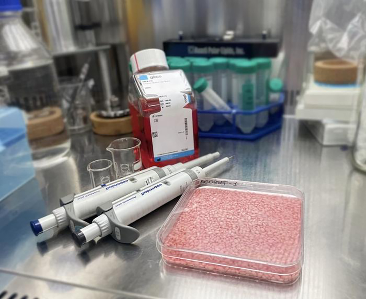 New beef-infused rice was made with real cow cells