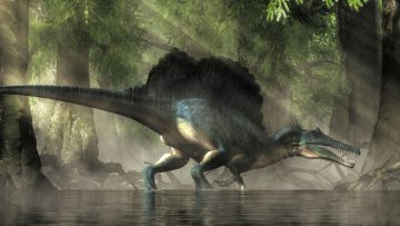 Spinosaurus in swamp-like biome