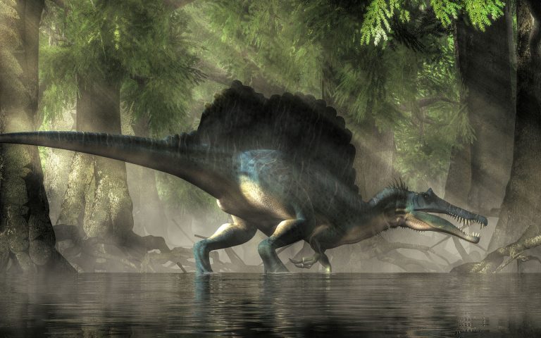 Spinosaurus in swamp-like biome