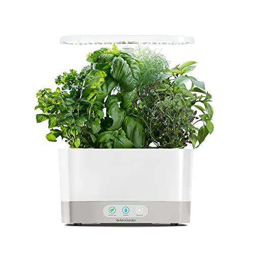 hugely popular amazon finds that are about to become the next big thing
