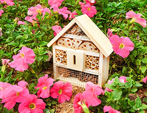 37 outdoor products that make yardwork 10x easier