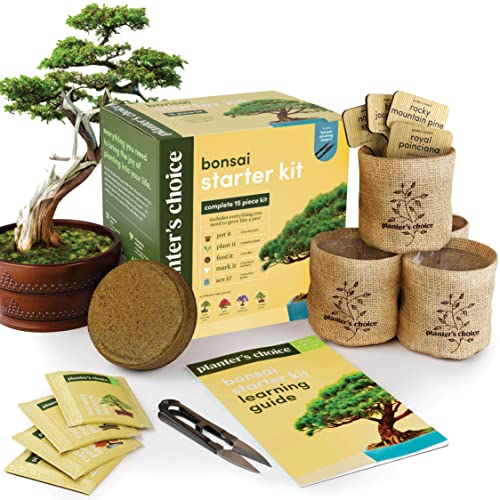 37 outdoor products that make yardwork 10x easier