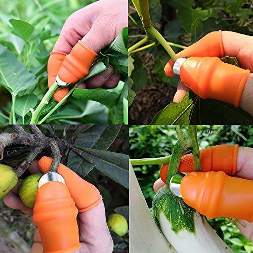 37 outdoor products that make yardwork 10x easier