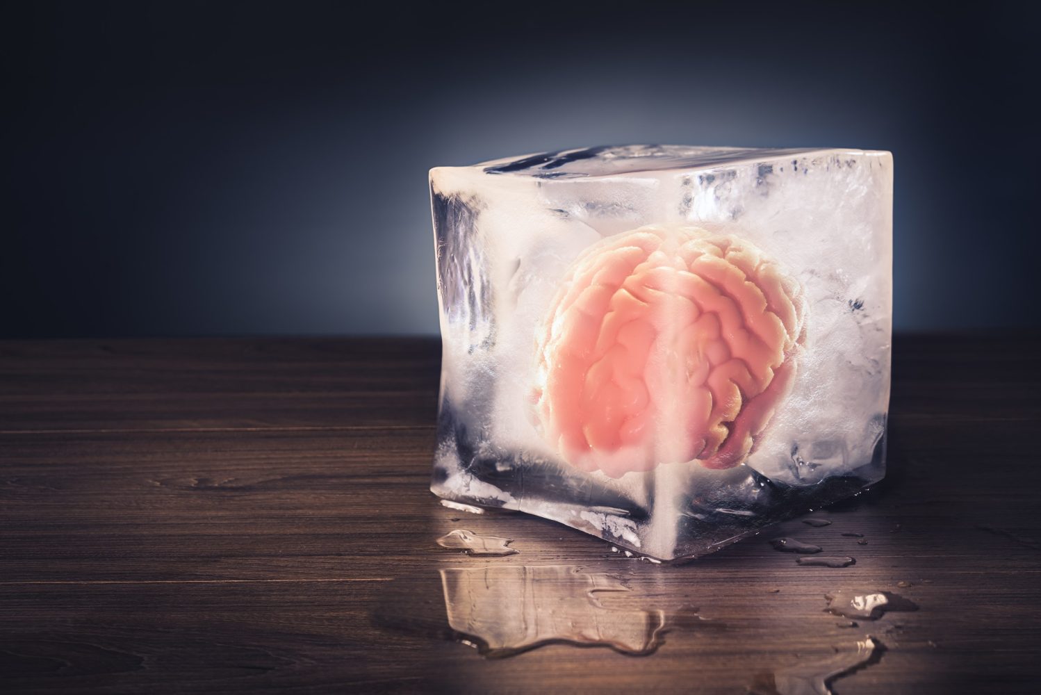 Frozen human brain tissue was successfully revived for the first time