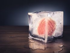 Frozen human brain tissue was successfully revived for the first time