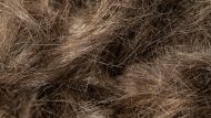 pile of human hair, closeup