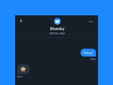 BlueSky DMs might be here, but you probably shouldn’t use them yet