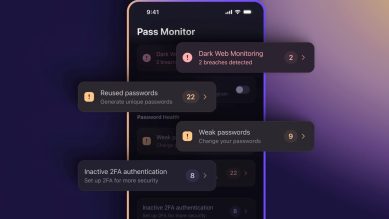 Proton Pass's new Pass Monitor security feature.
